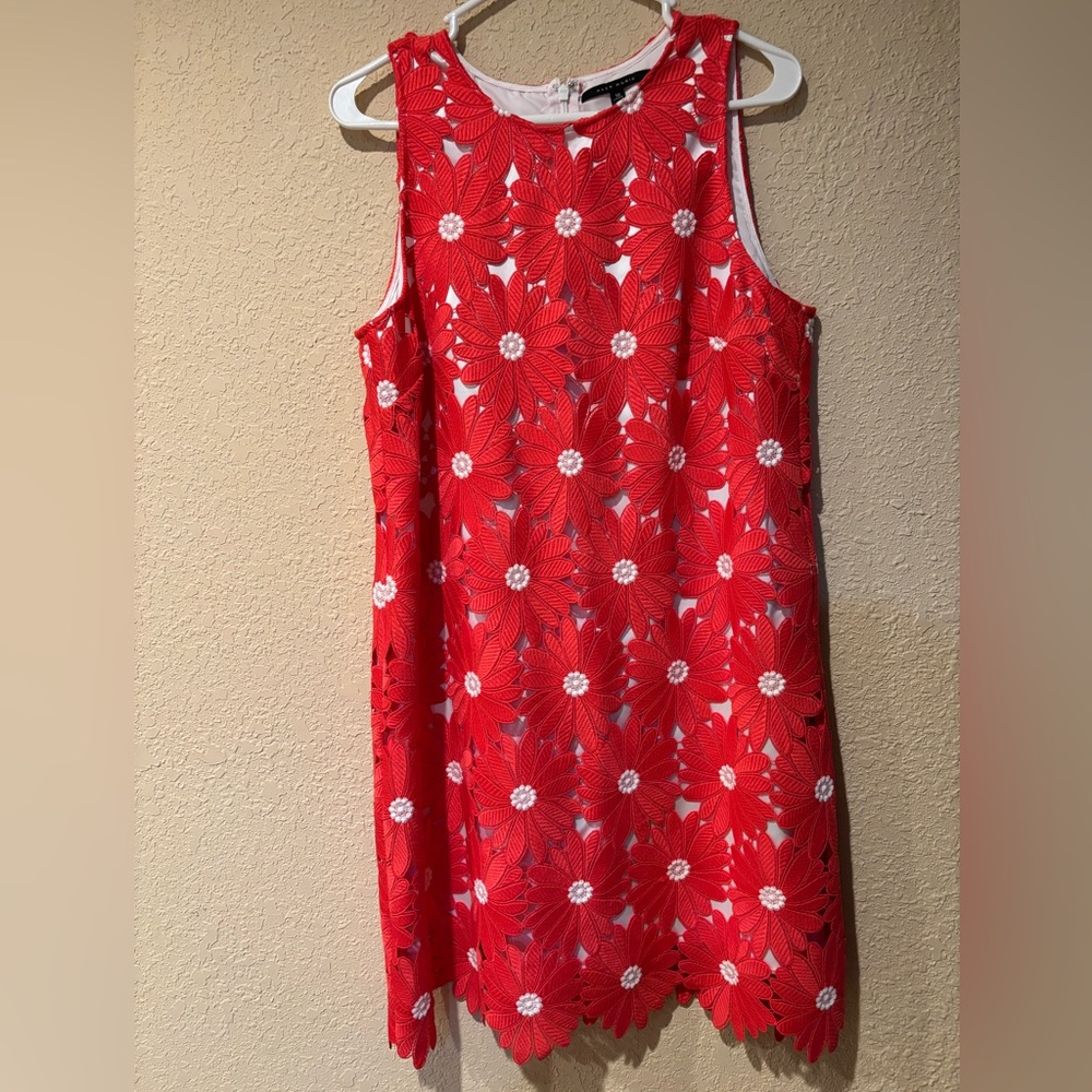 Alex Marie Red and White Mini Dress